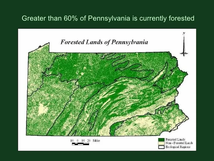 PA_Forested2.webp