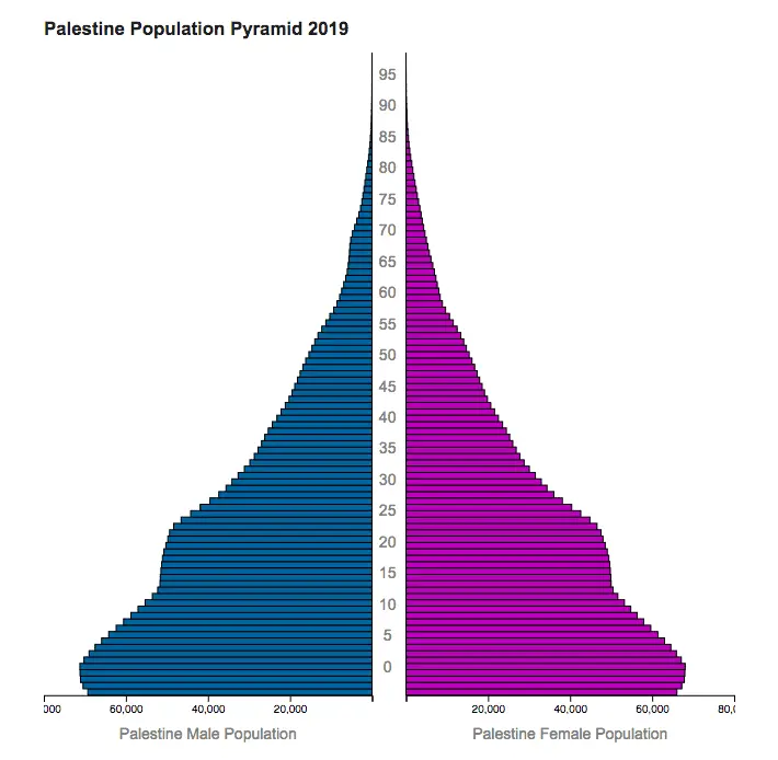 Palestine Population Pyramid 2019.webp