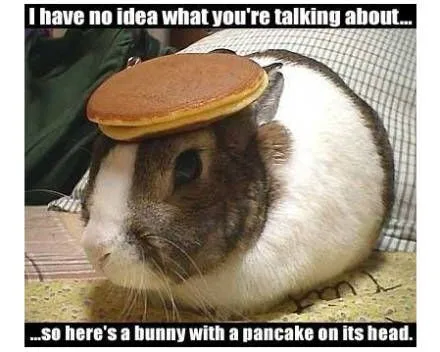 pancake rabbit.webp