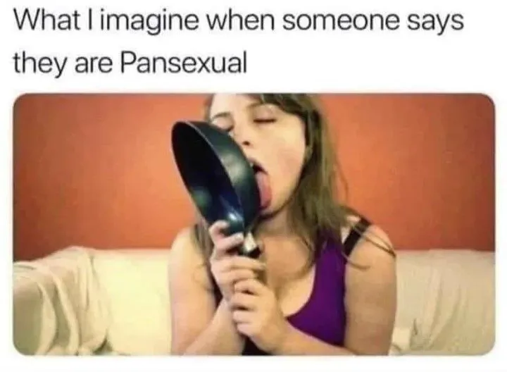 pansexuallmaohgdfdtgff.webp