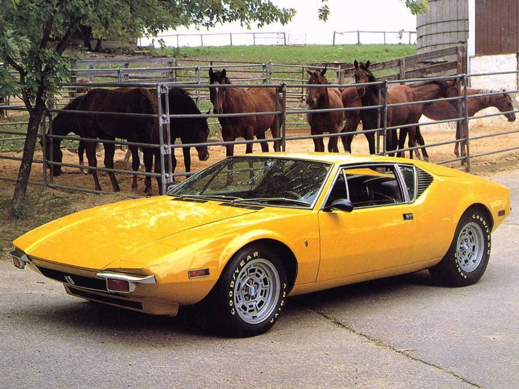 pantera4.webp