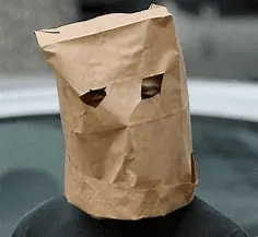 paper bag over head.webp