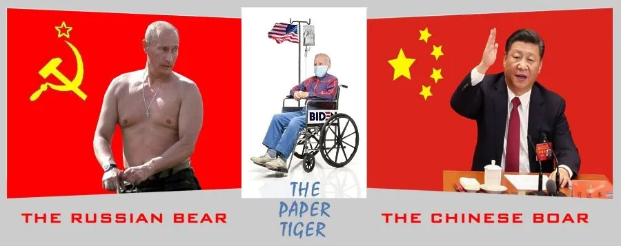 PaperTiger.webp