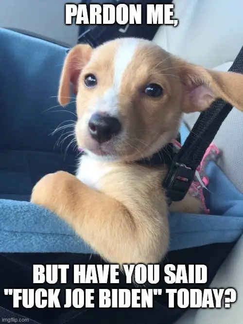 pardon me fjb 9.webp