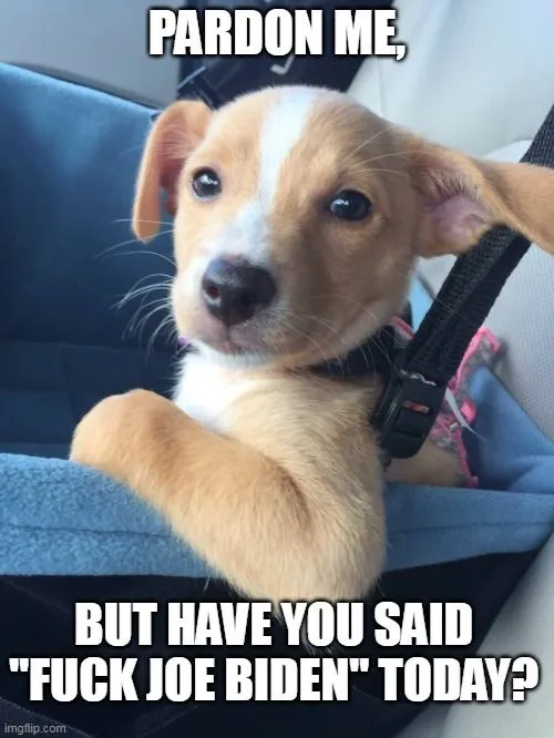 pardon me fjb 9.webp