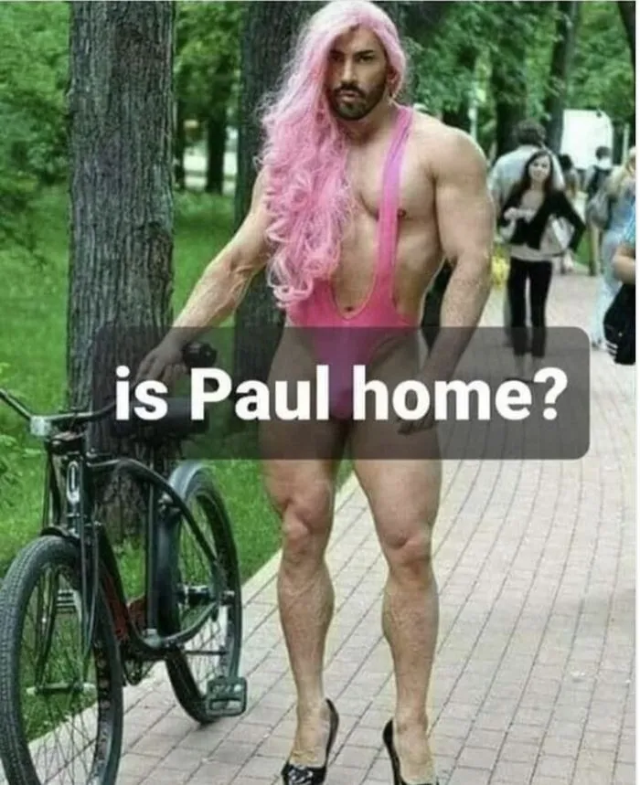 paul pelosi *** 4.webp