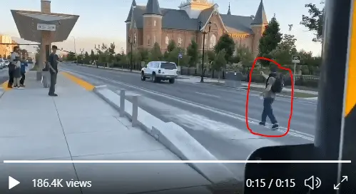 peacful protesters.webp