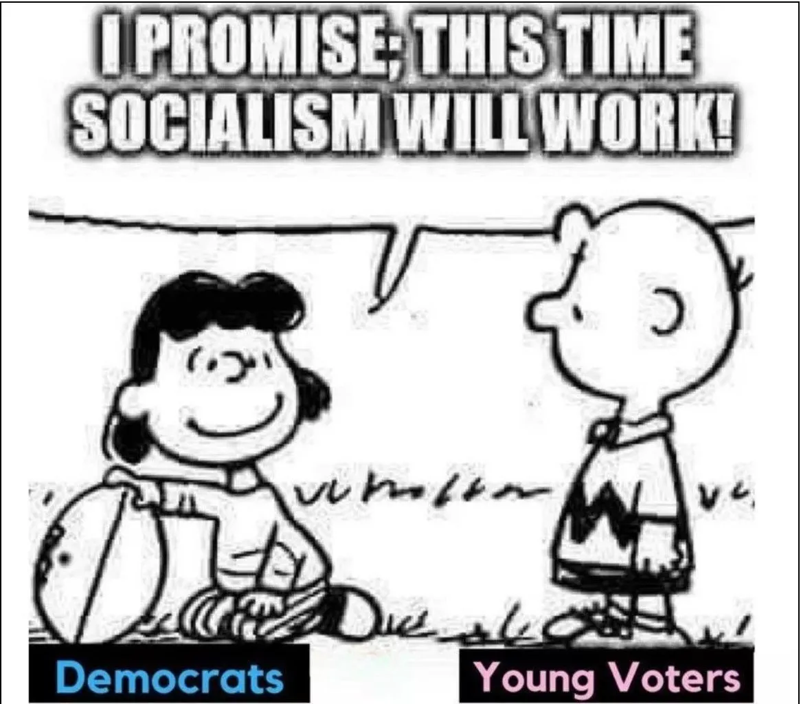 Peanuts Socilism.webp