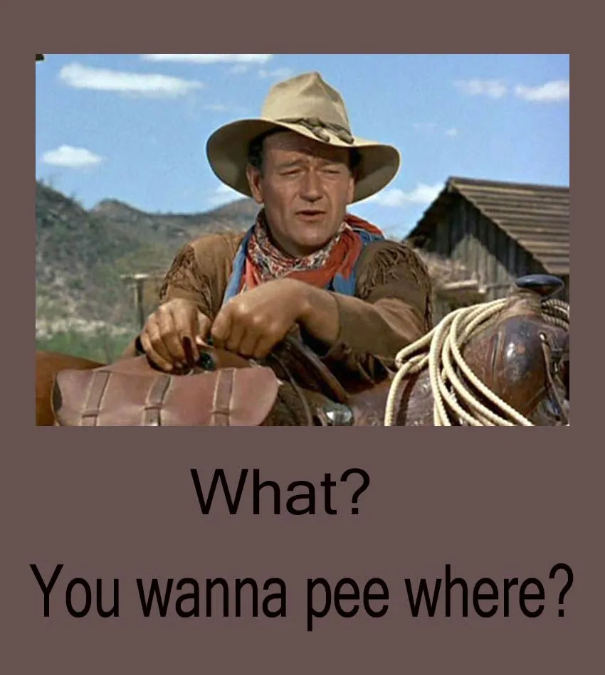 pee.webp