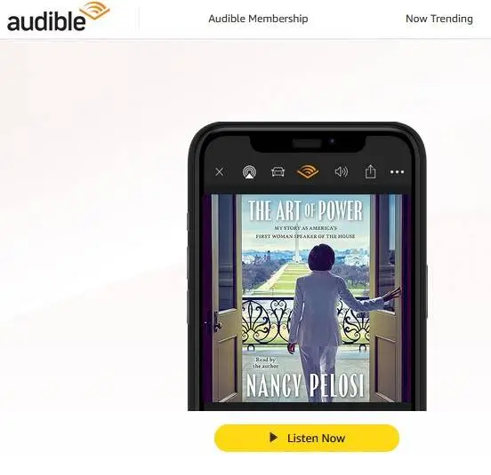 pelosi art of power book.webp