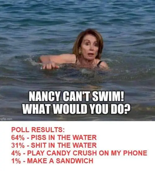 pelosi cant swim poll results.webp
