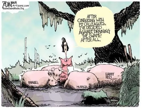 pelosi-cleans-the-swamplol.webp