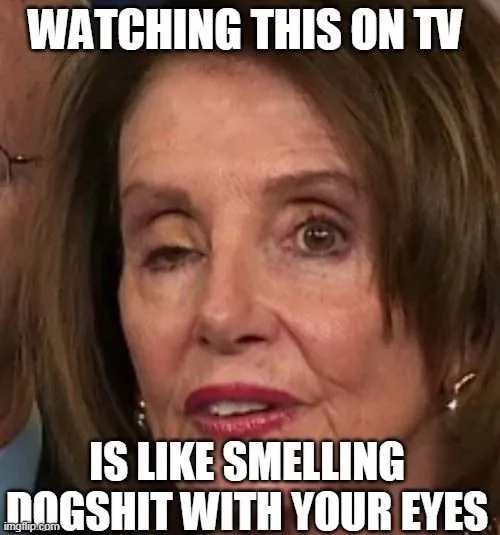 pelosi dogshit.webp