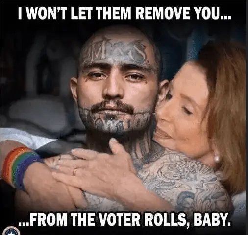 pelosi gang banger.webp