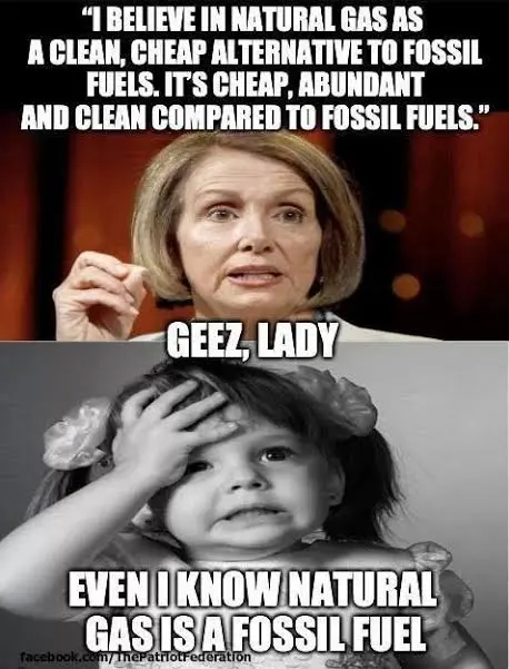 pelosi is dumb21323123123.webp