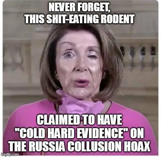 pelosi liar 0023.webp