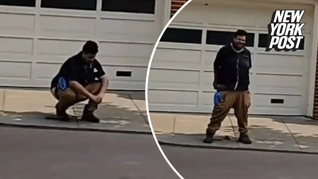 pelosi shit in her driveway.webp