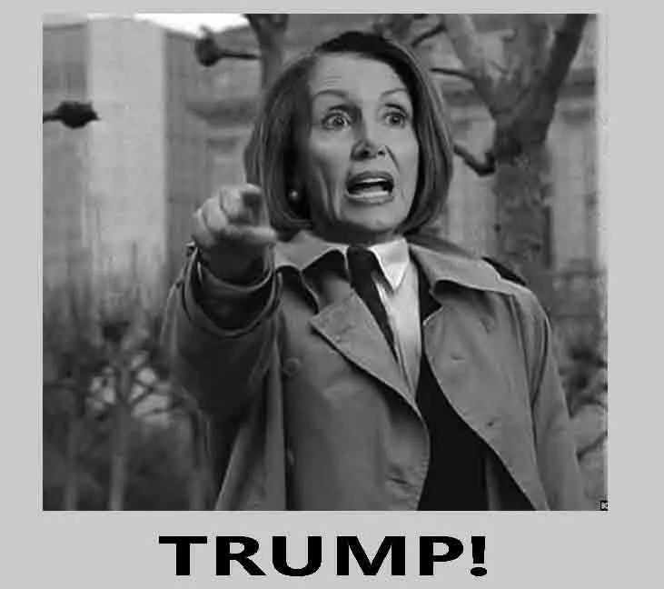 pelosi snatchers.webp