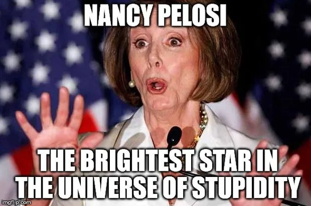 pelosi-stupid.webp