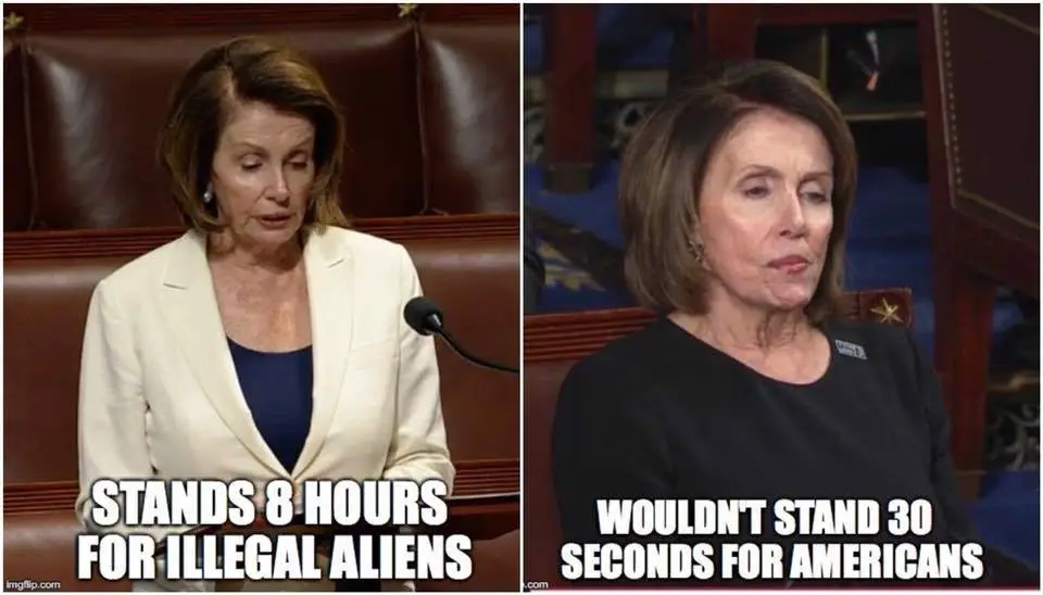 pelosi.webp