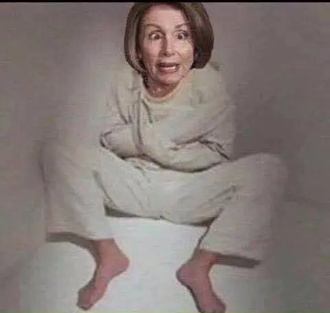 PELOSI6.webp