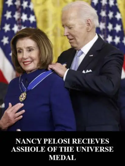 pelosiassholeoftheuniversesggsgsgs2.jpg