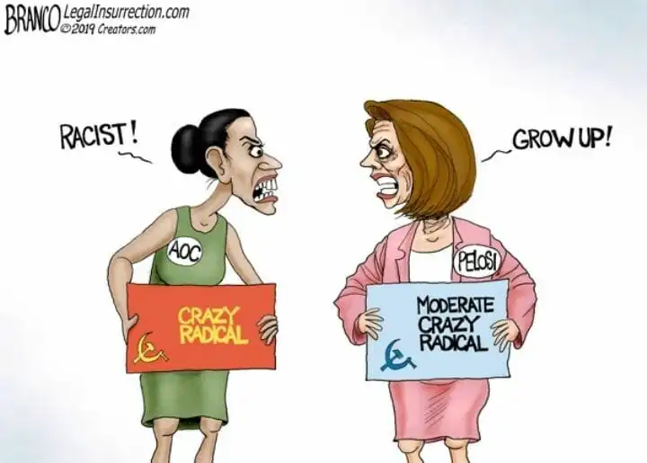 pelosiisacrazyradical.webp