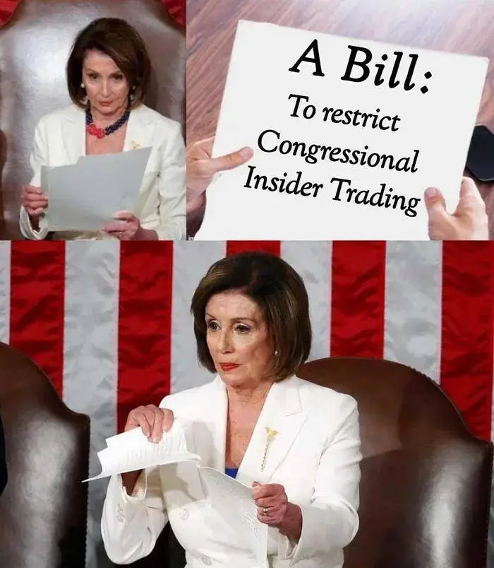 pelosiisalyingcrookytddrdtgd.webp