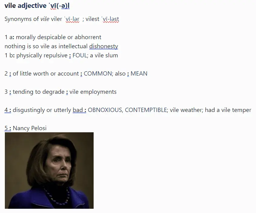 pelosiisthedefinitionofvile.webp