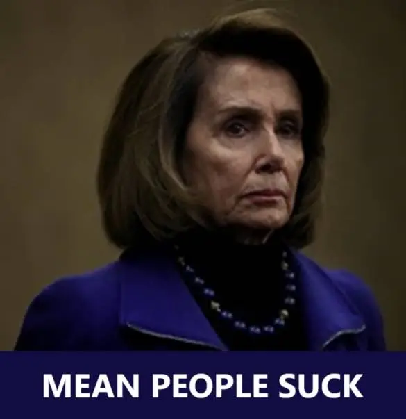 pelosilyinggreedycorruptdespicabledemagoguemeanpeoplesuck.jpg