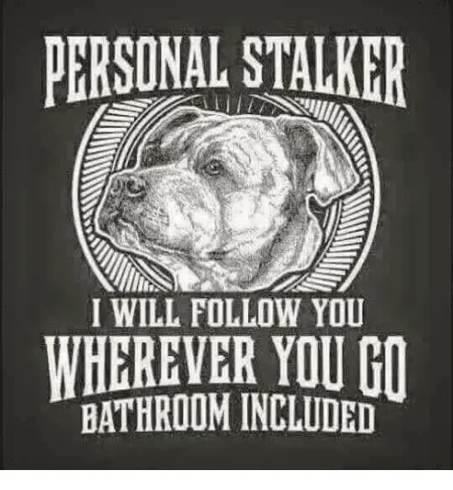 personal-stalker-i-will-follow-you-wherever-you-go-bathroom-6679116.webp