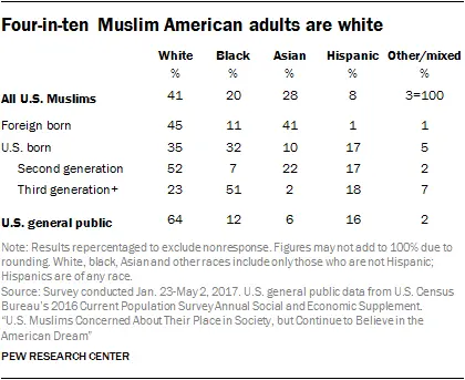 PF_2017.06.26_muslimamericans-01new-11.png