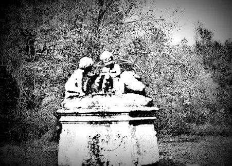 photob&wrb deatl pix.webp