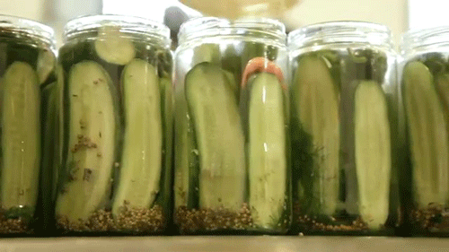 pickles-brooklyn-brine.gif