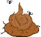 piece-of-shit-smiley-emoticon.webp
