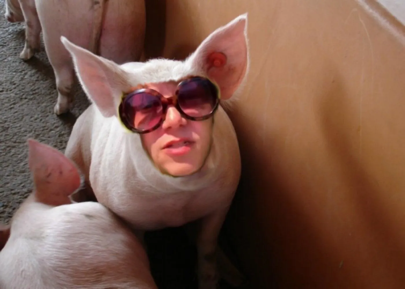 piggy woman.webp