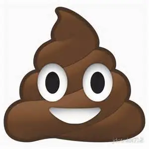 pile of poo.webp