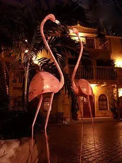 pink flamingo.webp