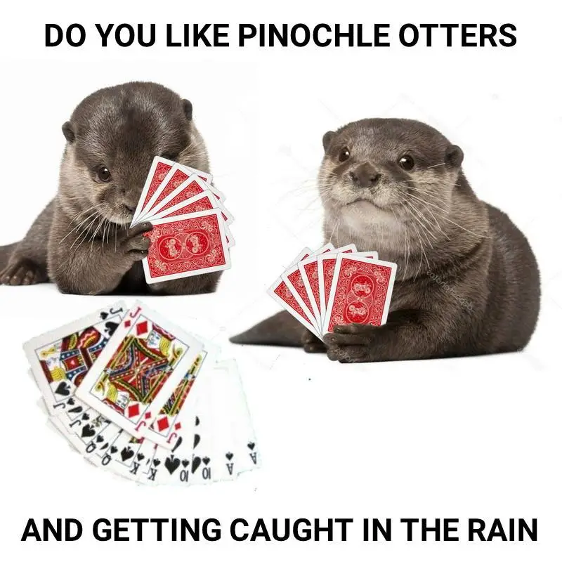 pinochleotters.webp