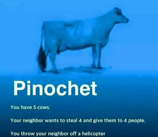PinoCow.webp