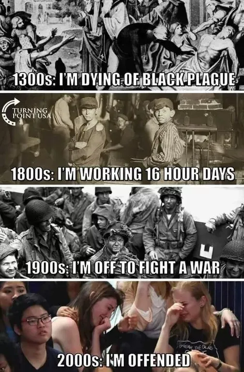 Plague to snowflake.webp