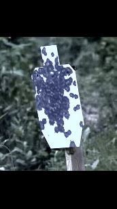 plate.gif