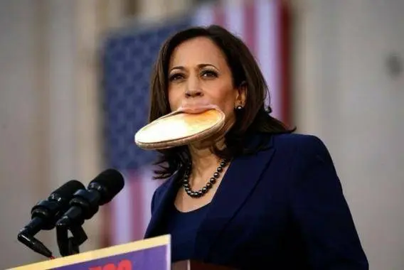 plate lip slut kam.webp