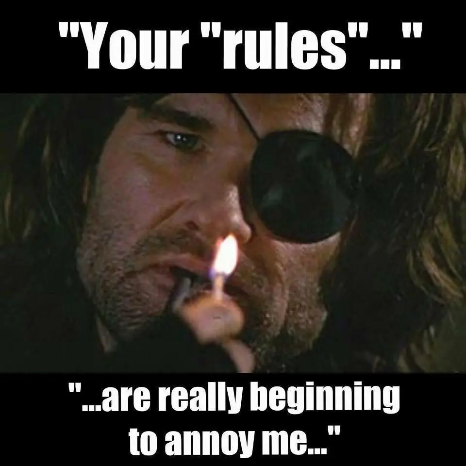 PliskinRulesAnnoyMe.webp