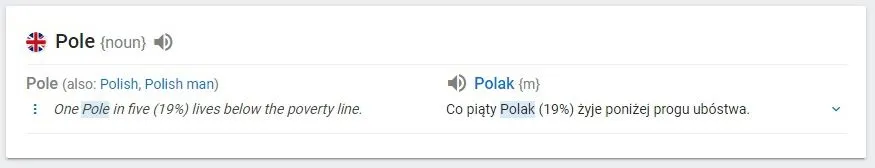 Polak.webp