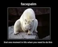 Polar Bear Face Palm.webp
