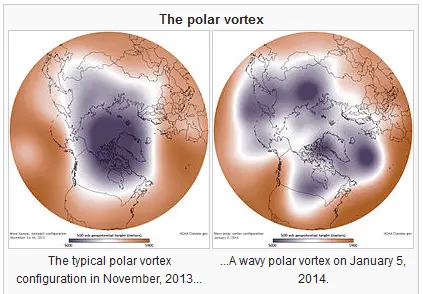 polar.webp