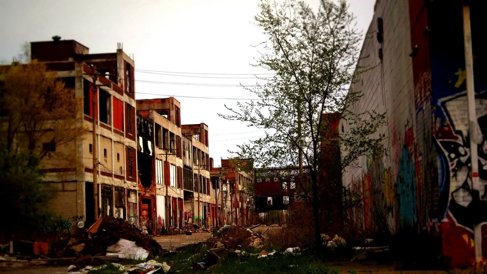 Polgars-Packard-Plant.webp