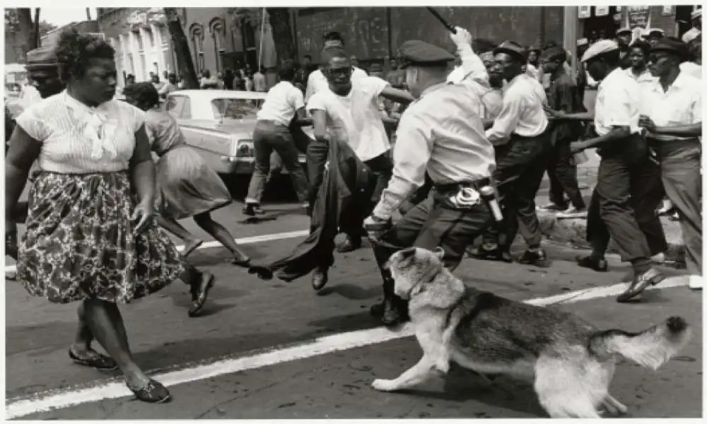 Police-Dogs-Attack-Demonstrators-Birmingham-Protests.jpg