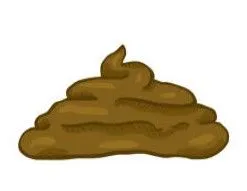 poop.webp